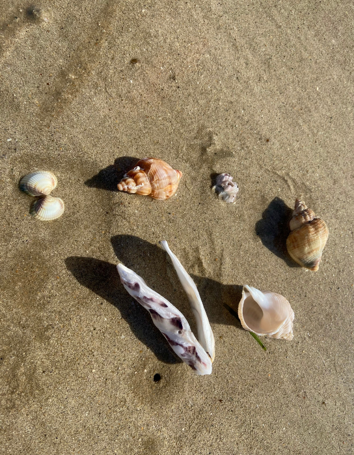 tarif naturopathe toulouse